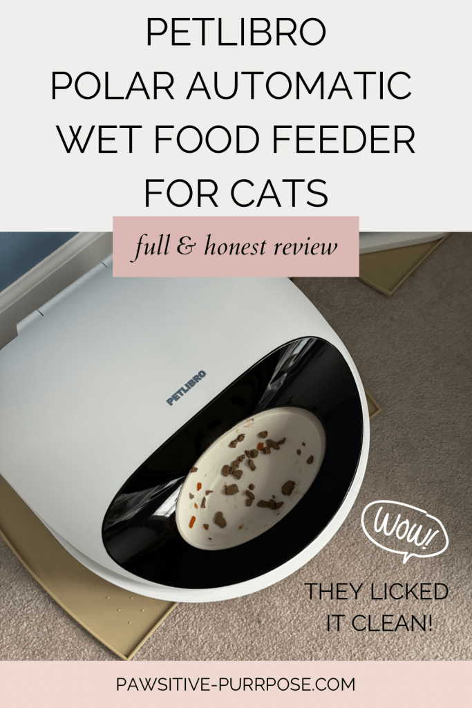 Graphic of a cat feeder with text that says Petlibro polar automatic wet food feeder for cats full and honest review